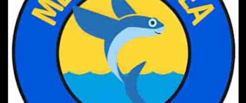 Mediterranea Dual Fest Logo