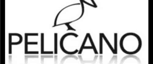 Logo Sala pelícano