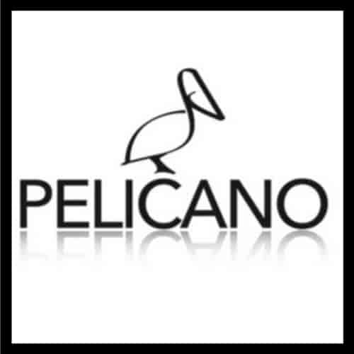 Logo Sala pelícano