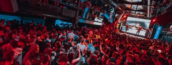 Discoteca Bacarrá Gandia - sala de fiestas en Gandia, Valencia