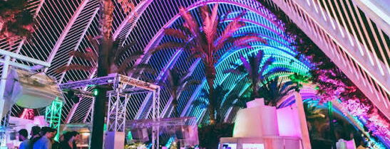 Umbracle Terraza Club Valencia - terraza y discoteca en la Ciudad de las Artes